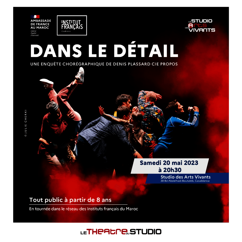 Affiche de DANS LE DÉTAIL