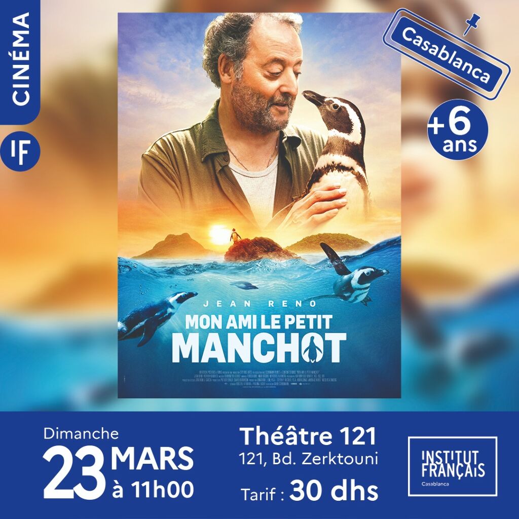 Affiche de Mon ami le petit manchot