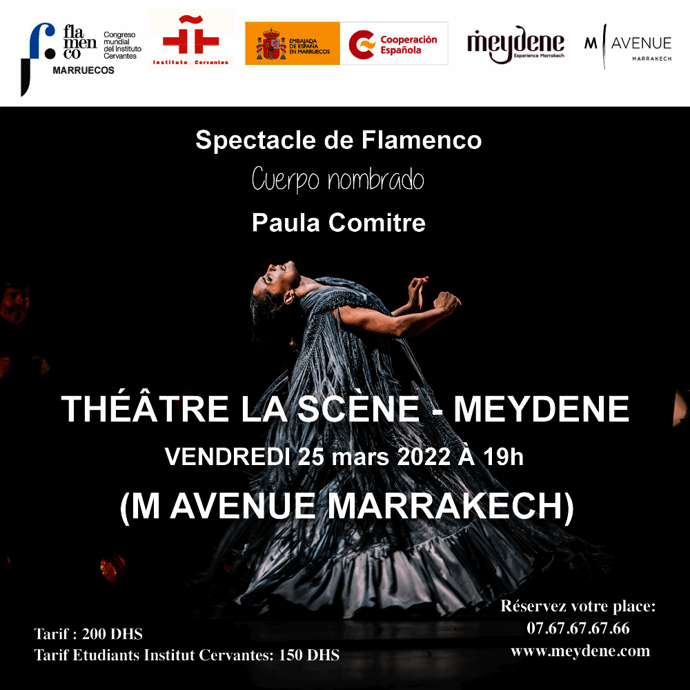 Affiche de Spectacle de Flamenco