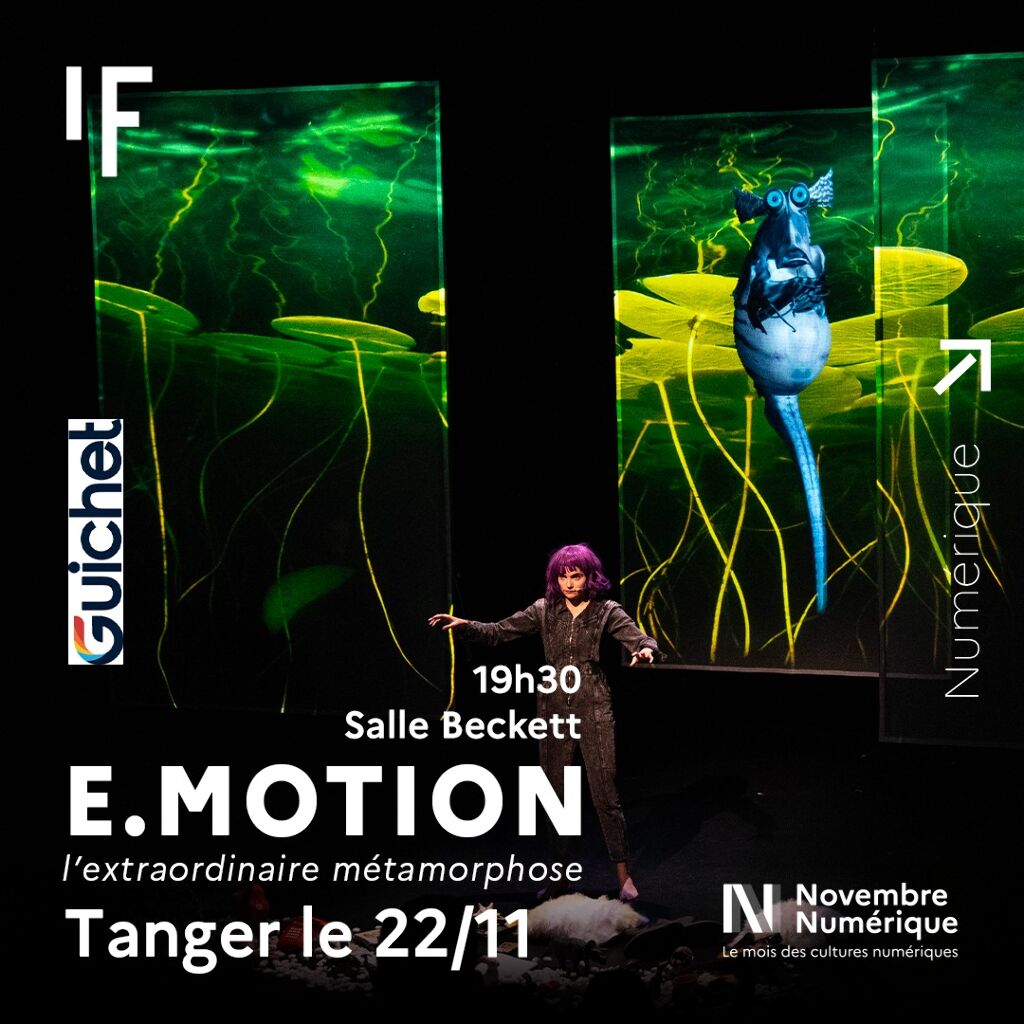 Affiche de Spectacle immersif E.MOTION, l'extraordinaire métamorphose