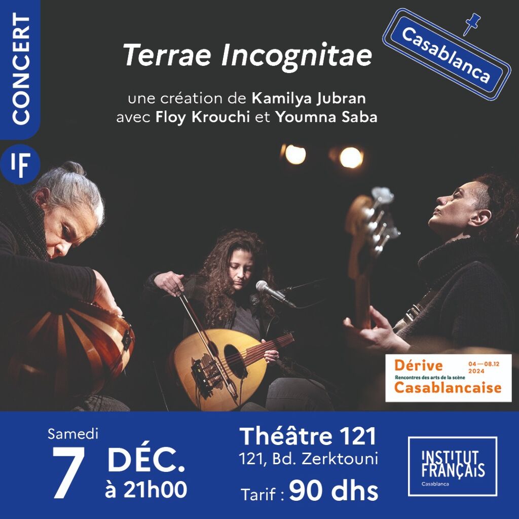 Affiche de Terra incognito